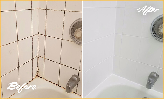 Before and After Picture of a Greenway Shower Tile and Grout Cleaned to Eliminate Mold