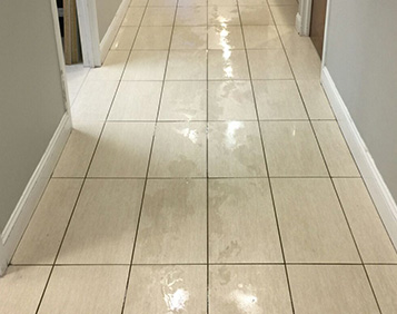 Hallway Floor - Plank-Style Tile, Color Seal Before Image