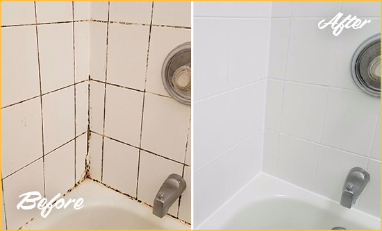 Before and After Picture of a Upper Marlboro Shower Tile and Grout Cleaned to Eliminate Mold