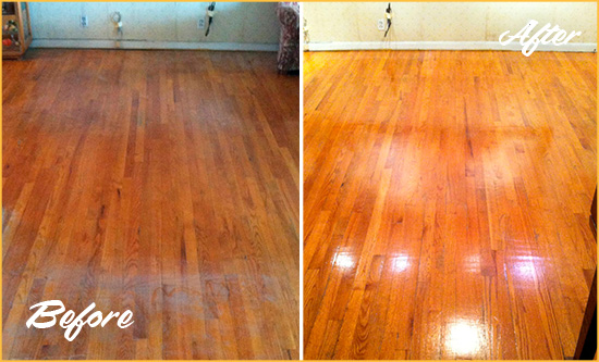 Before and After Picture of a Shepherd Park Wood Sand Free Refinishing Service on a Stained Floor