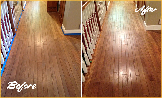 Before and After Picture of a Shepherd Park Wood Sand Free Refinishing Service on a Worn Out Floor