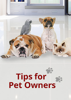 Pet Owners Banner