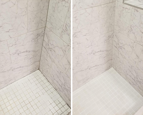 Shower Before and After a Grout Cleaning in Alexandria, VA
