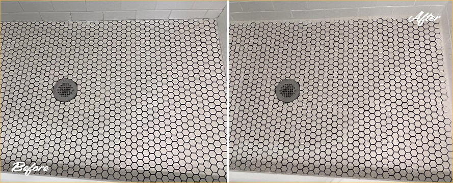 Shower Before and After a Superb Grout Sealing in Potomac, MD