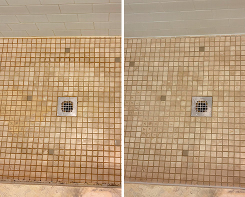 Shower Before and After a Grout Sealing in Washington, D.C.