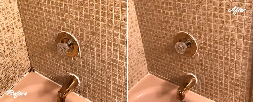 Before and after Image of A Grout Cleaning Job Done to This Bathroom in Fairfax, VA