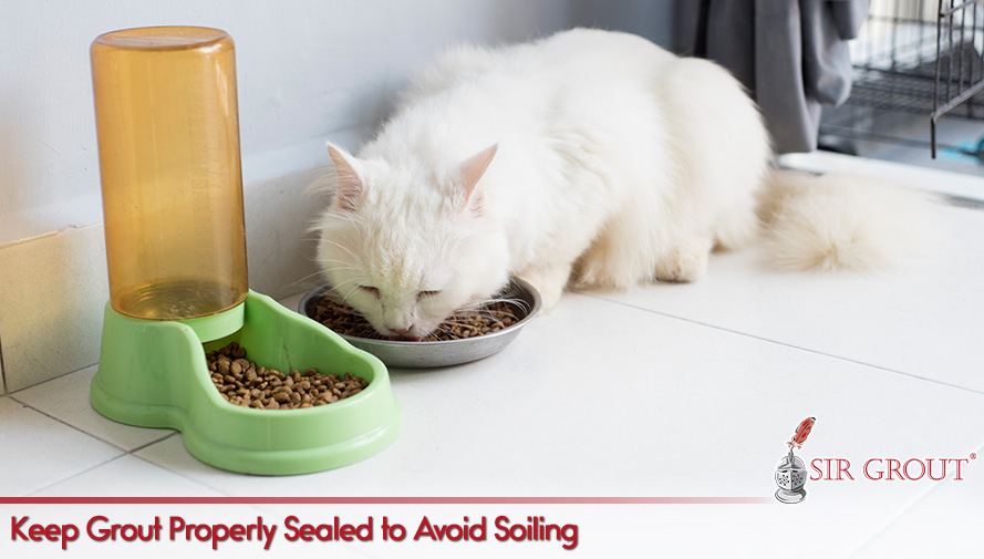 Keep an Eye on your Tile and Grout So It Won't Get Stained or Worn-Out Keep Grout Properly Sealed to Avoid Soiling