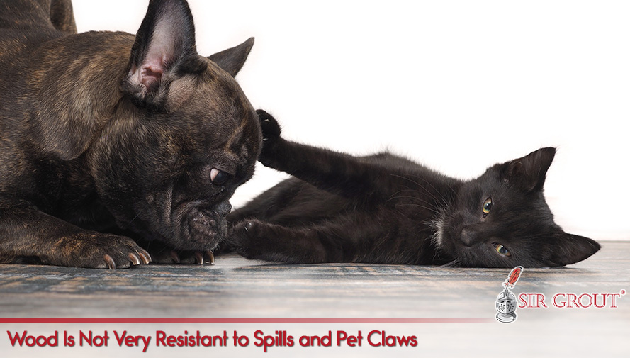Sir Grout Has the Expert Tools and Processes to Restore Wood Floors Wood Is Not Very Resistant to Spills and Pet Claws
