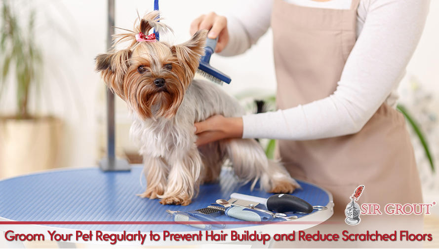 Nails Cause Scratches and Excess Hair Can Combine with Dirt and Cause Soiling Groom Your Pet to Keep Hair and Nails at Bay