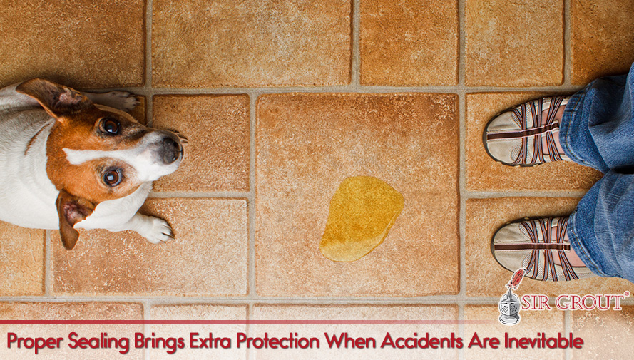 Test the Sealer Periodically to Check if the Surface Needs to Be Resealed Proper Sealing Brings Extra Protection When Accidents Are Inevitable