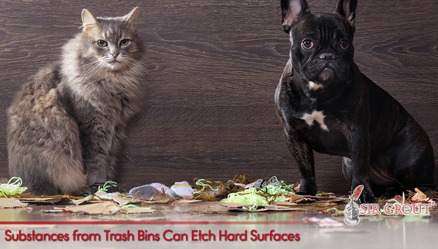 Pets Can Be Messy but Sir Grout Can Help Maintain Hardsurfaces in Good Condition Substances from Trash Bins Can Etch Hard Surfaces