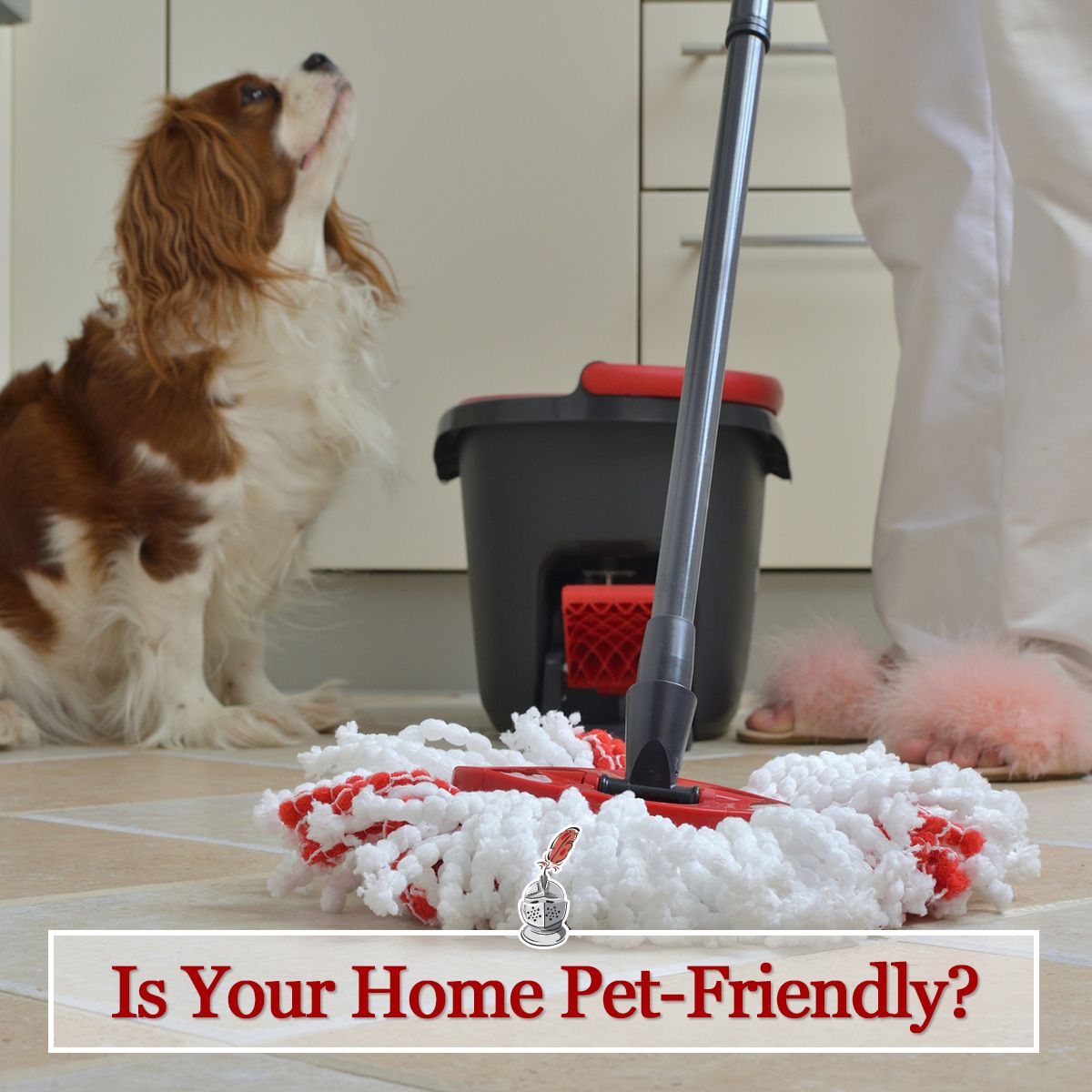 Is Your Home Pet-Friendly?