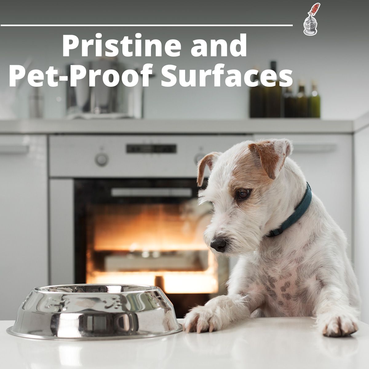 Pristine and Pet-Proof Surfaces