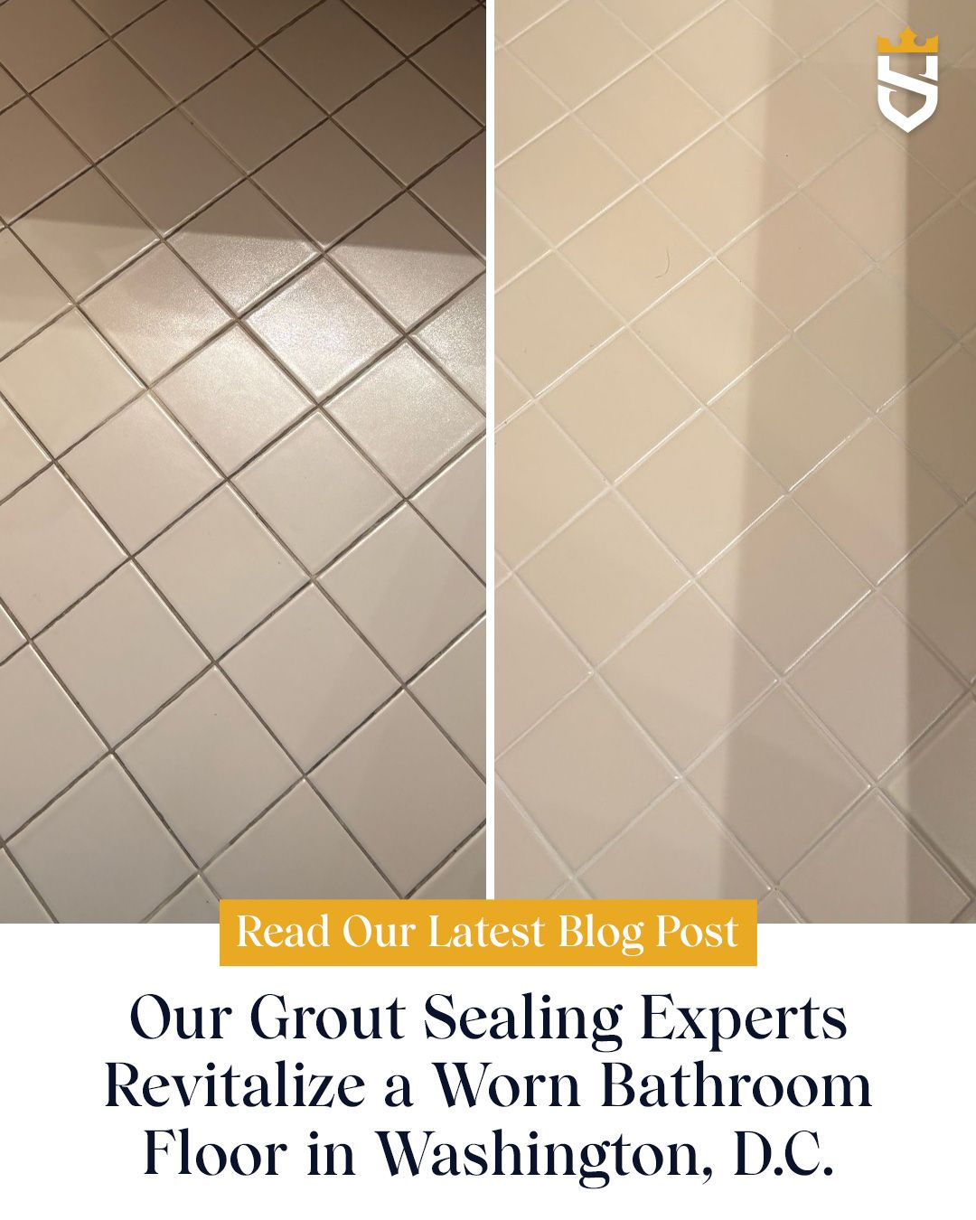 Our Grout Sealing Experts Revitalize a Worn Bathroom Floor in Washington, D.C.