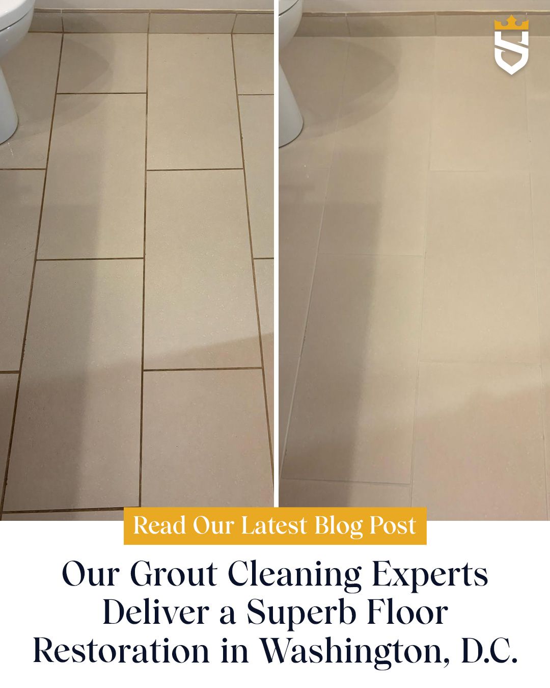 Our Grout Cleaning Experts Deliver a Superb Floor Restoration in Washington, D.C.