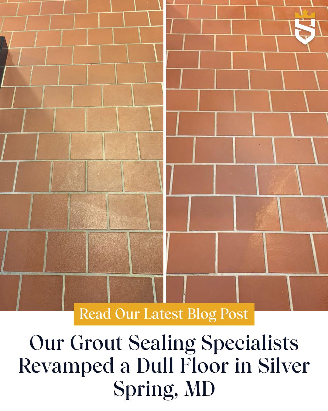 Our Grout Sealing Specialists Revamped a Dull Floor in Silver Spring, MD