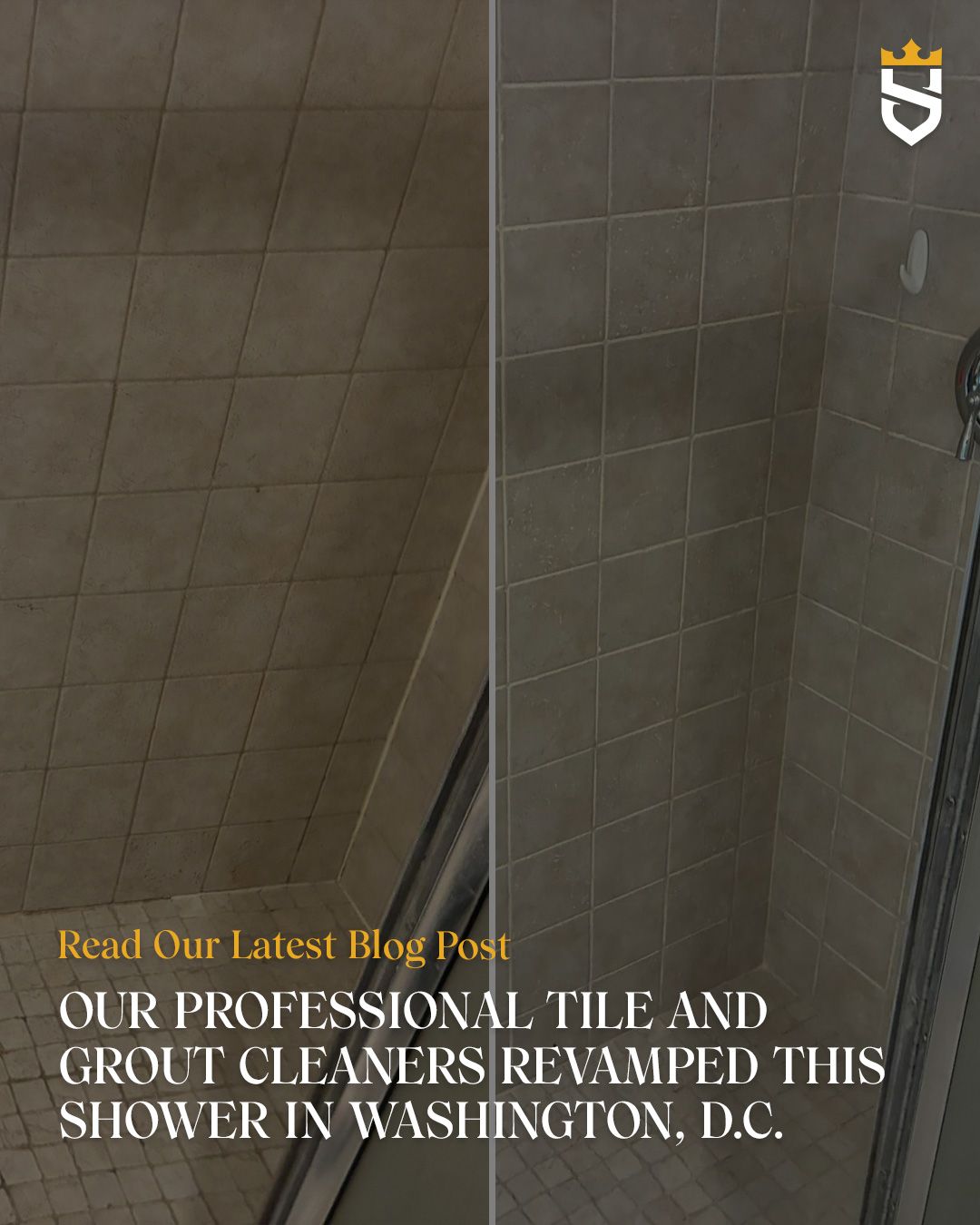 Our Professional Tile and Grout Cleaners Revamped This Shower in Washington, D.C.