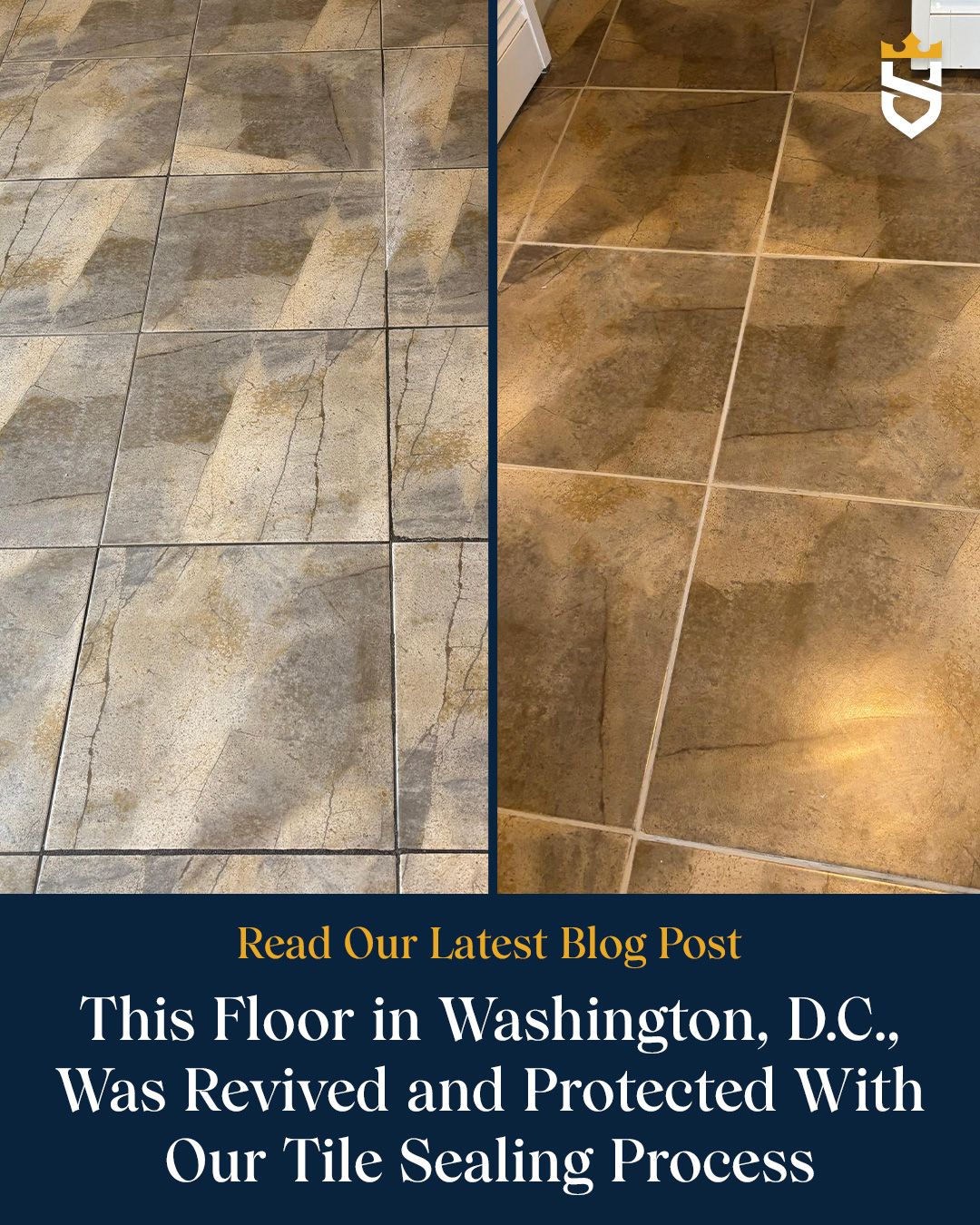 This Floor in Washington, D.C., Was Revived and Protected With Our Tile Sealing Process