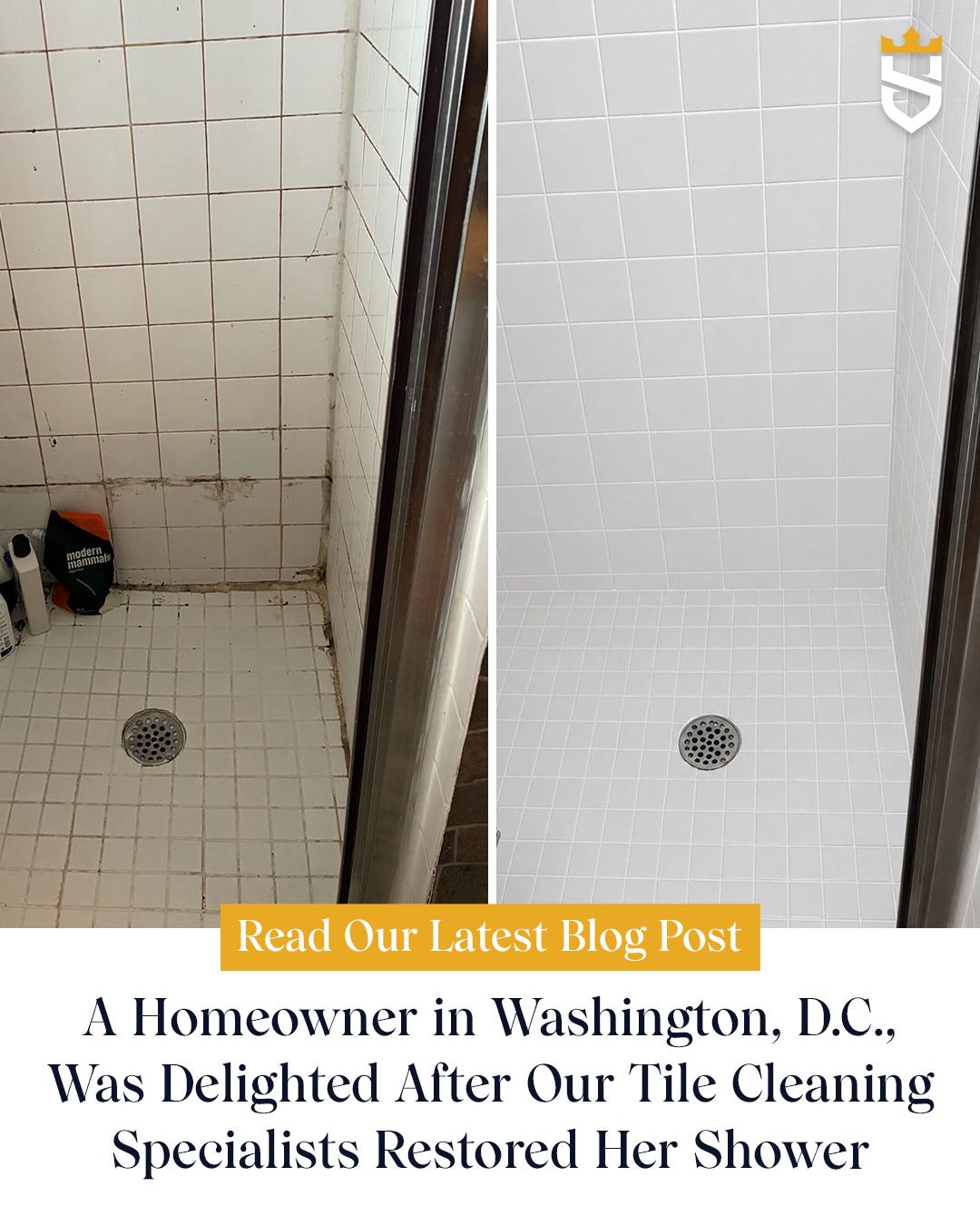 A Homeowner in Washington, D.C., Was Delighted After Our Tile Cleaning Specialists Restored Her Shower