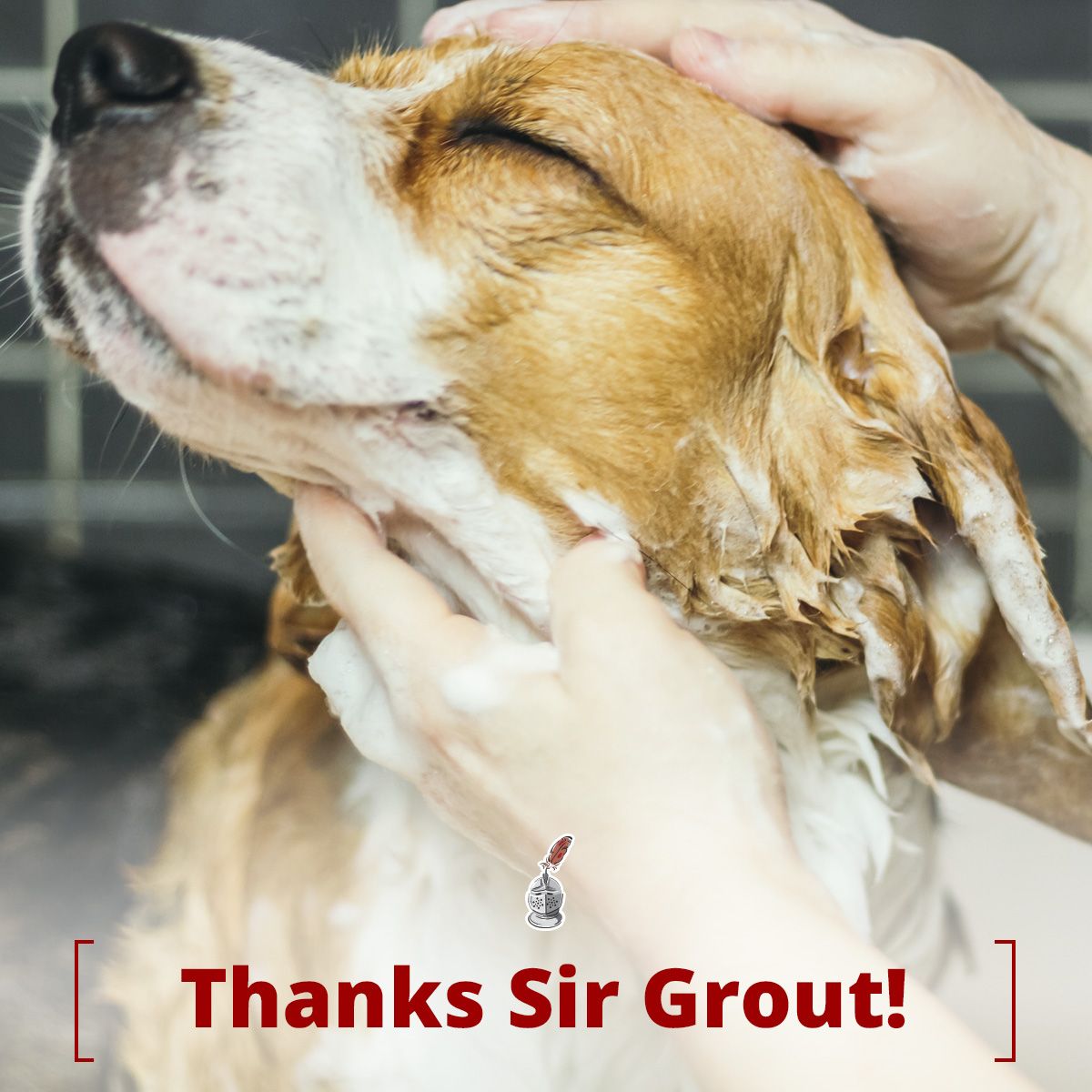 Thanks Sir Grout!